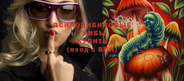 бошки Дмитриев