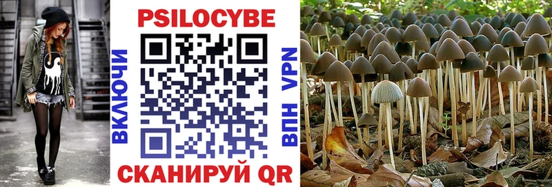Купить где  Чапаевск  Галлюциногенные грибы MAGIC MUSHROOMS 