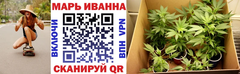 Бошки Шишки сатива  Купить закладки  Чапаевск 